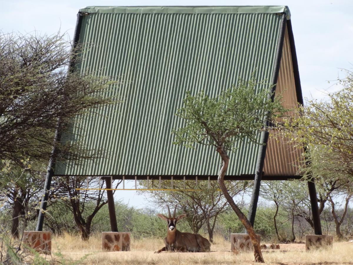Ovita Wildlife Restcamp Okazize Buitenkant foto
